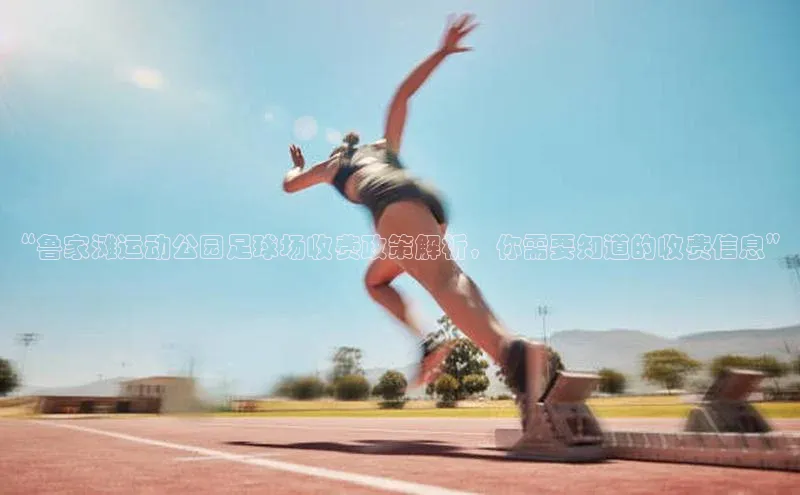 欧陆娱乐app下载安装路畅科技“鲁家滩运动公园足球场收费政策解析，你需要知道的收费信息”