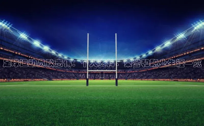 欧陆娱乐平台登录网易足球运动员耿志伟：个人资料、荣誉和职业生涯一览