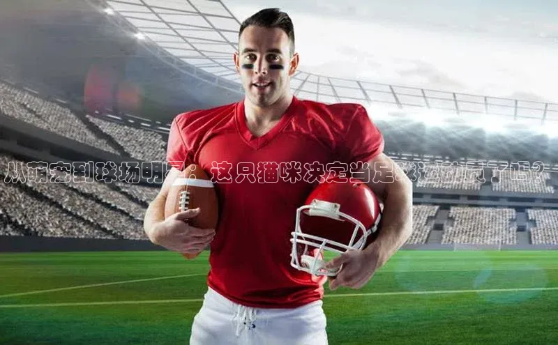 欧陆娱乐平台登陆地址百度安全社区从萌宠到球场明星：这只猫咪决定当足球运动员了吗？