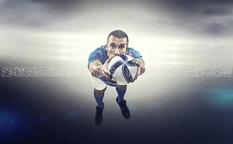 欧陆平台app下载携程足球运动员张继暴简历图片：揭秘他的职业生涯与荣誉