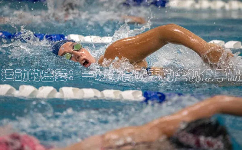 欧陆平台注册开户百度学术运动的盛宴：一场体育赛事的全视角手册
