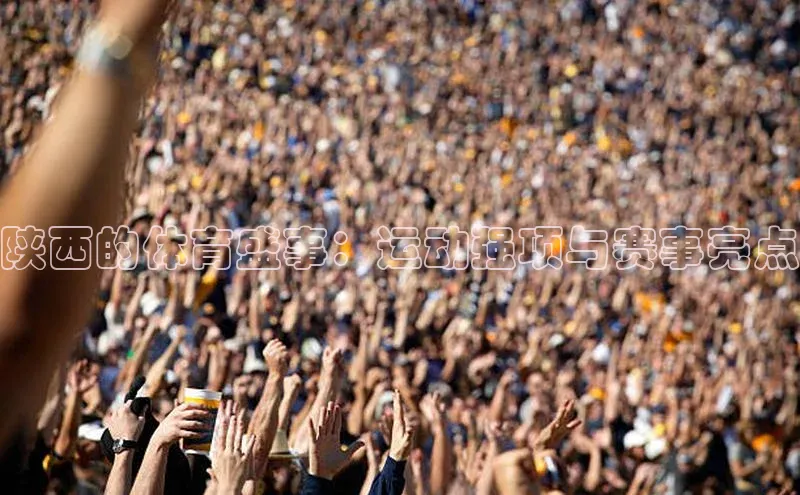 欧陆注册手机版百度数据开放平台陕西的体育盛事：运动强项与赛事亮点