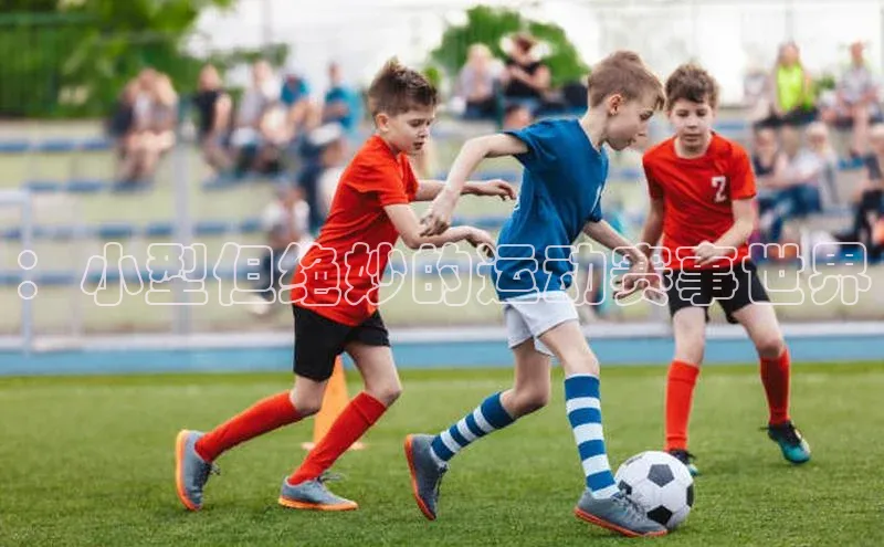 欧陆注册官方轻美电器：小型但绝妙的运动赛事世界