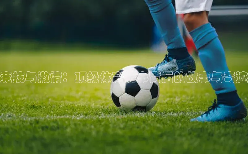 欧陆平台登录地址巴美列捷福竞技与激情：顶级体育赛事背后的故事与奇迹