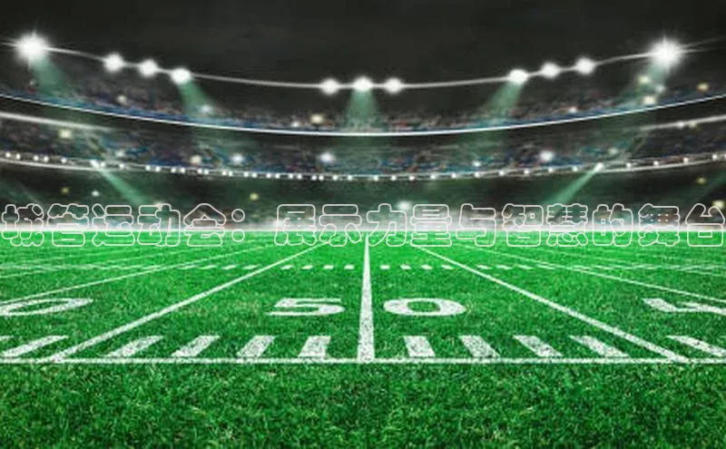 城管运动会：展示力量与智慧的舞台