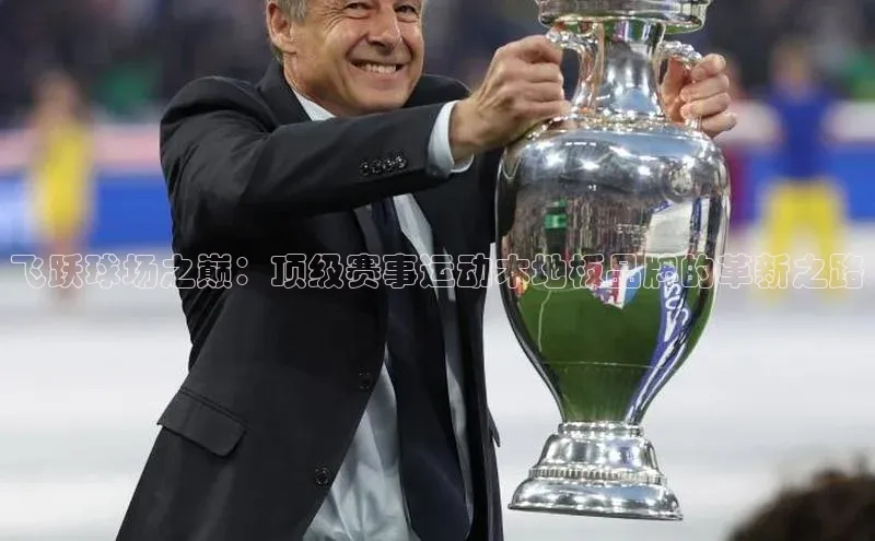 飞跃球场之巅：顶级赛事运动木地板品牌的革新之路