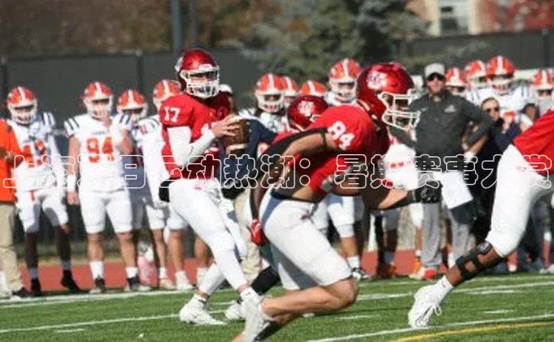 上海夏日运动热潮：暑期赛事大赏