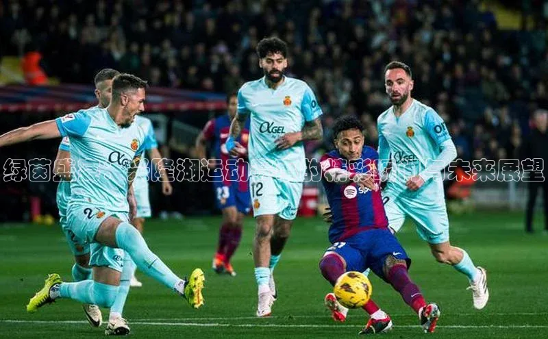 绿茵盛宴：兴隆湖运动赛事的精彩瞬间与未来展望