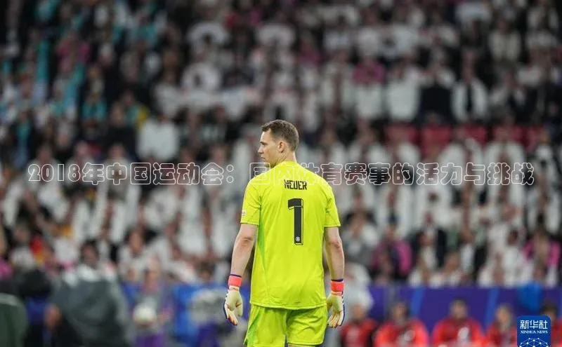 2018年中国运动会：国内体育赛事的活力与挑战