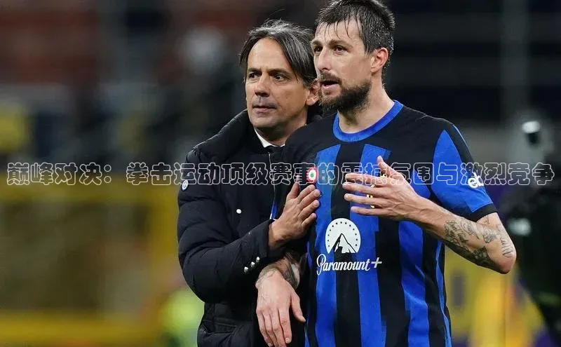 巅峰对决：拳击运动顶级赛事的震撼氛围与激烈竞争