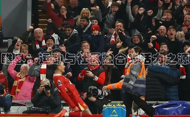 睢县：运动与社区融合的活力之源
