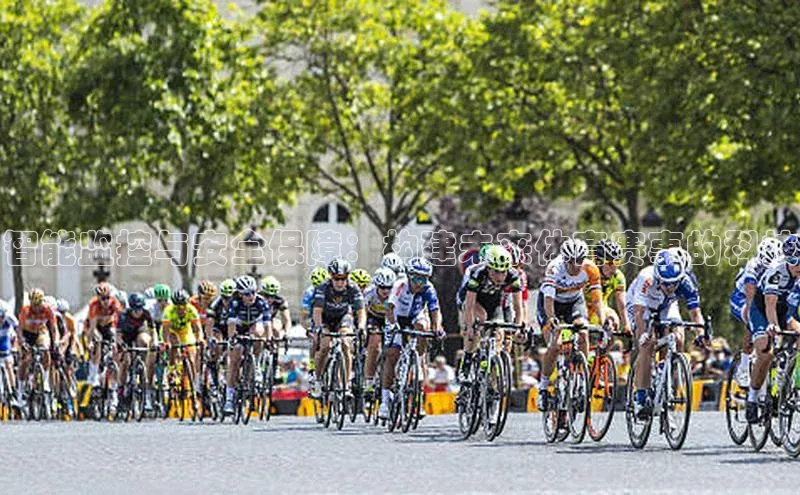 智能监控与安全保障：构建未来体育赛事的科技