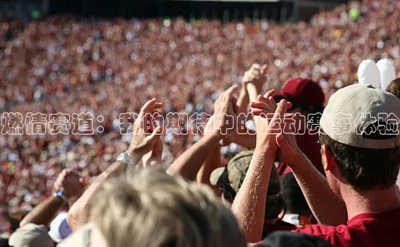 燃情赛道：我的期待中的运动赛事体验