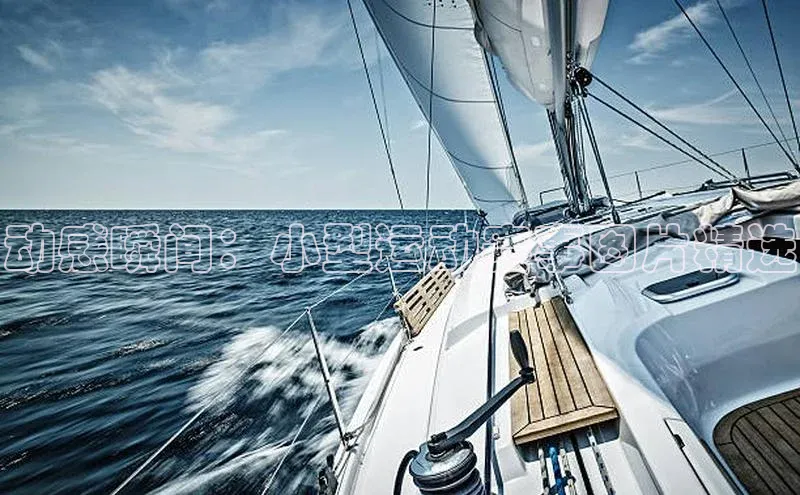 动感瞬间：小型运动赛事图片精选