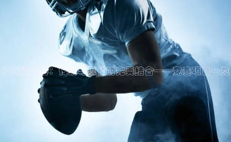 信鸽运动会：传统与现代的完美结合——竞赛项目一览