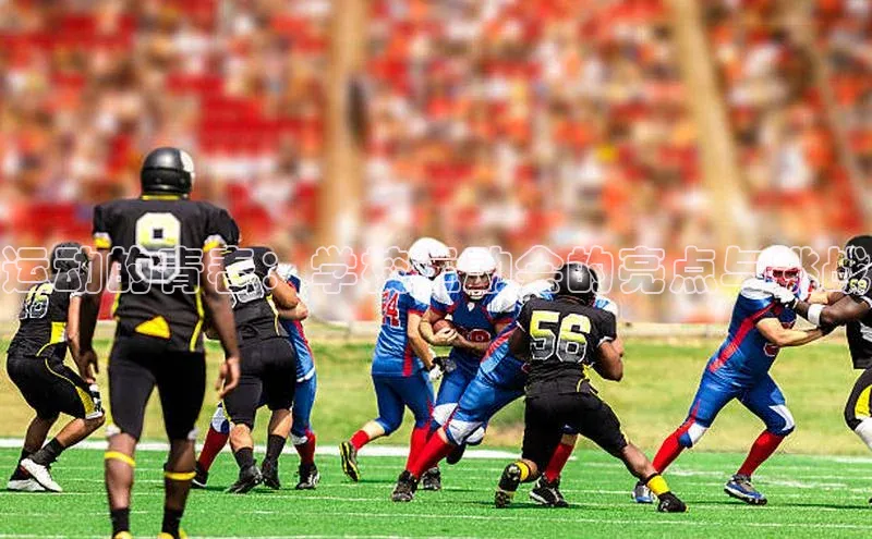 运动的青春：学校运动会的亮点与挑战